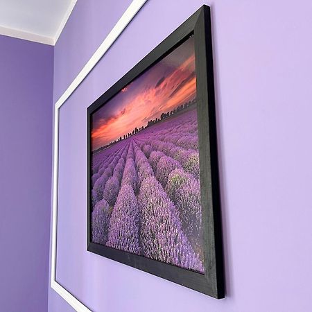 Apartament Lawendowy Валбжих Екстер'єр фото