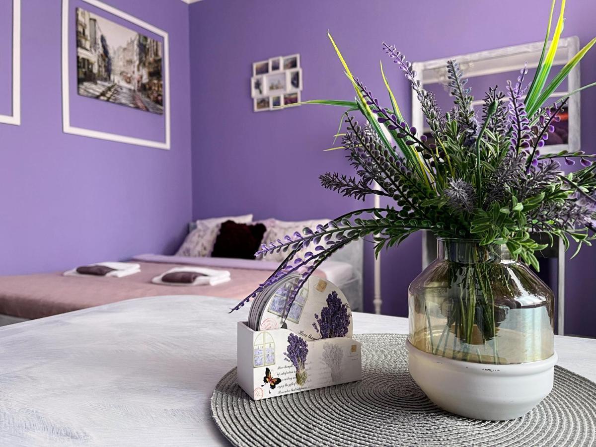 Apartament Lawendowy Валбжих Екстер'єр фото